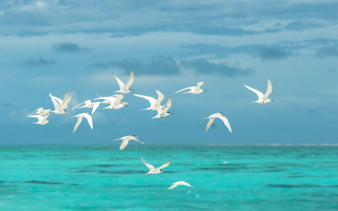 Cómo retomar la comunicación de tu negocio tras las vacaciones